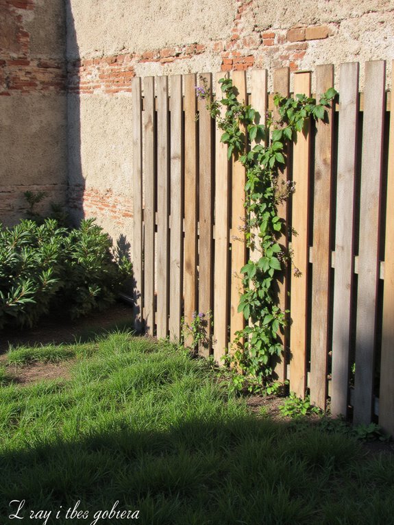 pallet fence design ideas