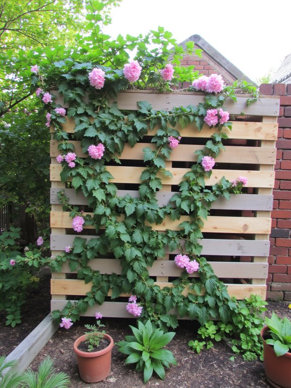 pallet trellis for climbing plants