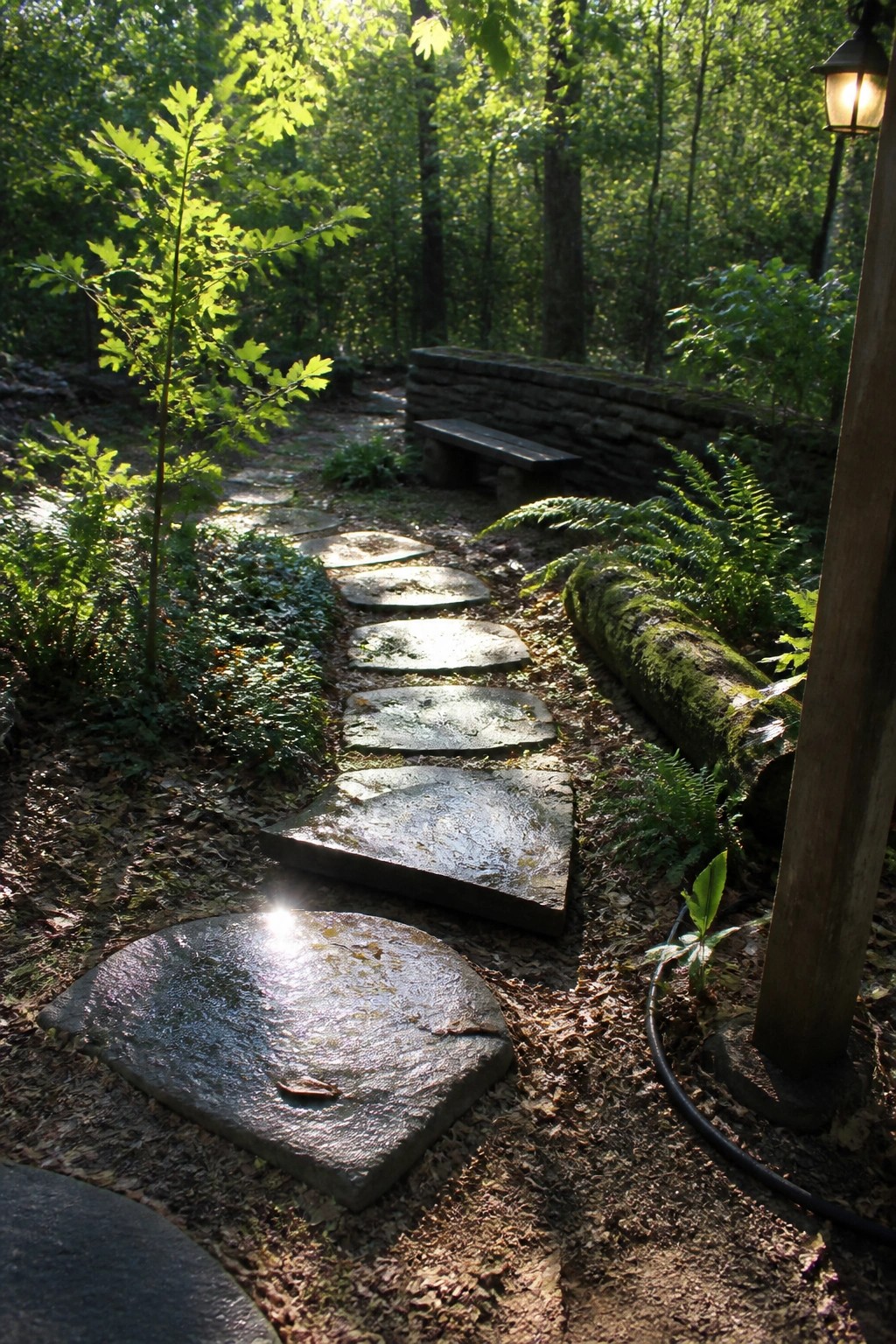 A winding path of irregular flat stone stepping stones leads through a shaded garden with ferns, trees, and a mossy log.