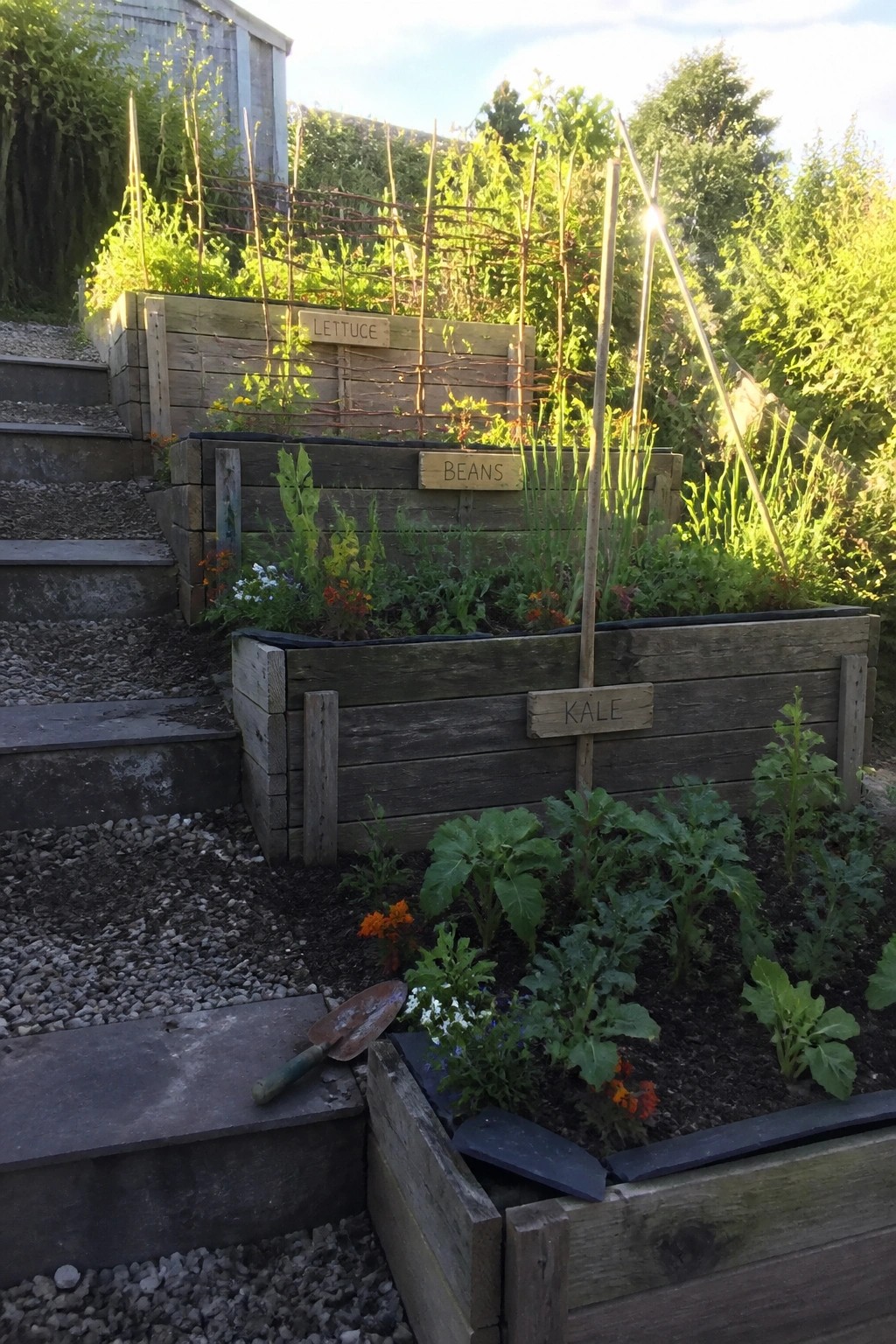 Wooden raised garden beds arranged on stone steps with vegetable plants, labels, and simple wooden trellises.
